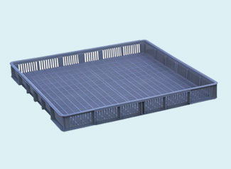 167號 快猫成人APP下载盤